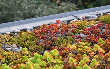 the cost of Wimboldsley green roof installation