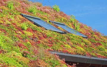 Wimboldsley living roof systems