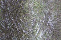 Wimboldsley fibreglass roof work